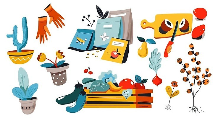 EPS 해외이미지 꽃 화분 농업 채소 과일 일러스트 도마 사람없음 세트 바구니 자르기 오브젝트 거름 비료포대 선인장화분 해외202310 해외일러스트 식물 산업 모션 주방용품 선인장 파일형식 벡터