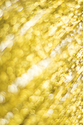 포토 JPG 해외이미지 디자인 행복 별 컬러 백그라운드 크리스마스 추상 휴가 전등 새로움 기념 미술 이벤트 사람없음 장식 빛 반짝임 갈색 노란색 파티 우주 검은색 축제 흰색 축하 원형 화려 황금 우아함 야간 소프트포커스 연도 심볼 보케 마법 블러 엘리먼트 크리스마스이브 깜빡이다 해외202310 해외포토 자연요소 도형 기념일 감정 컨셉 무늬 모션 문화예술 조명 촬영기법 파일형식