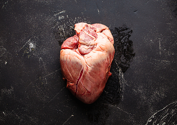 포토 JPG 해외이미지 모양 동물 음식 백그라운드 신체 재료 해부 탁자 근육 육류 돼지고기 사랑 스테이크 요리 사람 사람없음 빨간색 검은색 저녁식사 어둠 소고기 소 혈액 시장 자르기 심볼 날것 간 육식동물 양고기 항공촬영 단백질 목록 송아지고기 정육점 콘크리트 해외202310 해외포토 감정 뷰포인트 컬러 가구 식재료 포유류 의학 모션 서양음식 상점 식사 장기_의학 영양소 파일형식