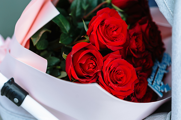 포토 JPG 해외이미지 식물 꽃잎 꽃 꽃다발 꽃무늬 휴가 선물 사람없음 뷰티 장미 임신 벚꽃 축하 신생아 신선 기다림 고급 다발 배열 심볼 유모차 걸음마 해외202310 해외포토 컨셉 무늬 모션 아기용품 아기 파일형식