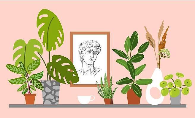 EPS 해외이미지 식물 디자인 꽃 화초 잎 꽃무늬 일러스트 자연 주택 실내 내부 장식 초록색 유행 정원 방 친환경 원예 분재 고립 스칸디나비아 엘리먼트 온실 벡터 해외202310 해외일러스트 나무 컬러 무늬 취미 건물 환경 생태계 파일형식