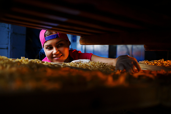 포토 JPG 해외이미지 여자 유니폼 공장 노동자 파스타 한명 상반신 성인 앞모습 업무 제조 넣기 페투치네 성인여자한명만 해외202310 해외포토 직업 1 옷 뷰포인트 공업 모션 서양음식 사람 작업 파스타면 여자한명만 성인여자만 파일형식