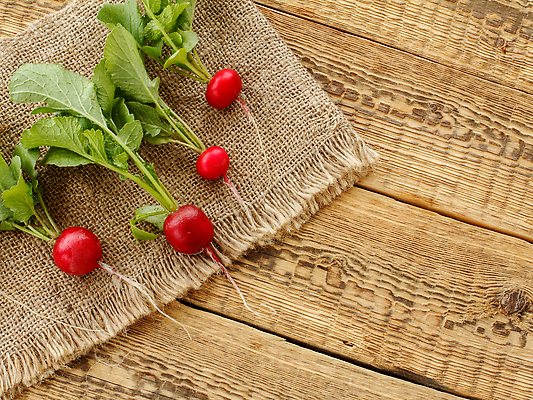 포토 JPG 해외이미지 식물 손 음식 농업 채소 자연 건강 손잡이 사람없음 빨간색 초록색 금속 정원 농사 봄 장비 수확 껍질 기구 공구 신선 업무 상품 작음 모종삽 삽 국자 유기농 원예 주걱 내추럴 갈퀴 땅파기 목록 숙성 실행 철강 총각무 하드웨어 해외202310 해외포토 웰빙 계절 산업 컬러 재질 주방용품 취미 신체부위 컴퓨터 도구 작업 크기 무 생태계 파일형식