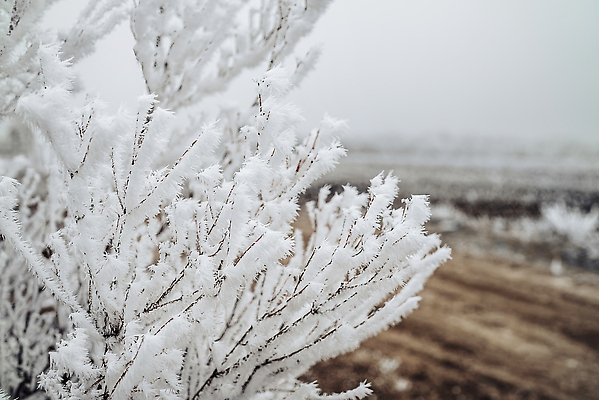 포토 JPG 해외이미지 나무 계절 유럽 여행 백그라운드 겨울 모션 자연 하늘 날씨 산 안테나 사람없음 야외 목재 초록색 파란색 뷰티 냉동 얼음 추위 흰색 나뭇가지 소나무 숲 서리 장면 상록수 침엽수 전나무 내추럴 삼림지대 우크라이나 눈내림 가문비나무 해외202310 해외포토 자연요소 식물 나라 컬러 재료 통신 눈_날씨 생태계 파일형식