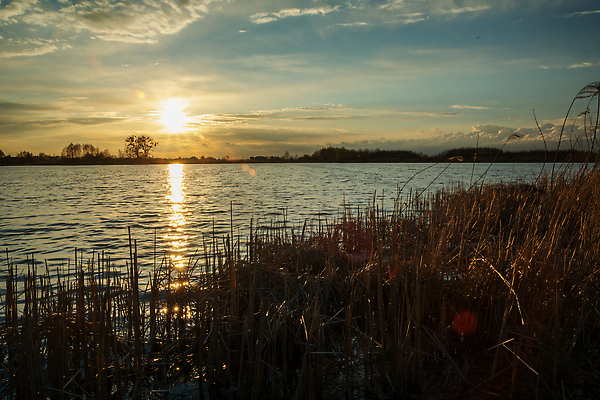 포토 JPG 해외이미지 구름 호수 여행 백그라운드 오렌지 자연 지팡이 하늘 표면 불꽃 갈대 풍경 사람없음 야외 물 빛 컬러풀 햇빛 태양 뷰티 반사 갈색 침묵 황혼 일몰 봄 새벽 전원 연못 저녁 장면 마법 수평선 해외202310 해외포토 자연요소 식물 계절 컬러 과일 불 노을 소리 전기에너지 야간 생태계 파일형식