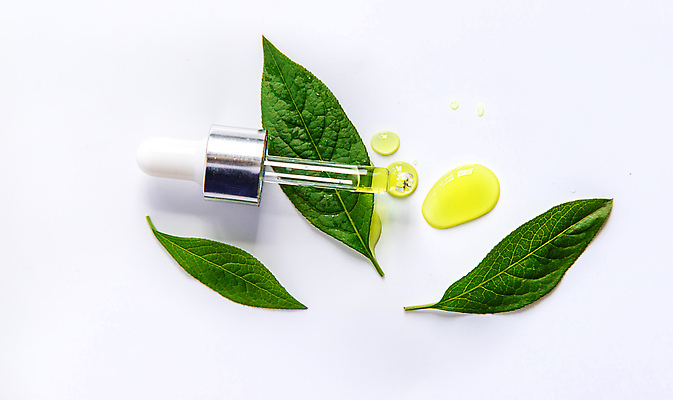 포토 JPG 해외이미지 백그라운드 잎 자연 사람없음 아웃포커스 뷰티 신선 오일 내추럴 해외202310 해외포토 식물 음식 촬영기법 화장품 생태계 파일형식