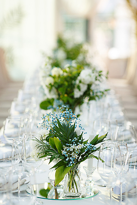 포토 JPG 해외이미지 그릇 식기 접시 디자인 꽃 행복 음식 꽃다발 포크 꽃무늬 유리 기념 이벤트 사람없음 장식 컵 초록색 친구 요식업 식사 저녁식사 희망 축하 직물 날짜 우아함 사과 배열 꽃집 삼베 양동이 만족 구성 보헤미아 뷔페 정중 비어있는 해외202310 해외포토 식물 감정 산업 컬러 컨셉 무늬 과일 관계 재질 상점 파일형식 천_직물