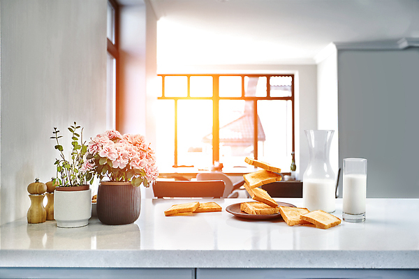 포토 JPG 해외이미지 식재료 창문 사람없음 햇빛 꽃병 우유 아침식사 식빵 토스트 해외202310 해외포토 꽃 빵 유제품 태양 식사 파일형식