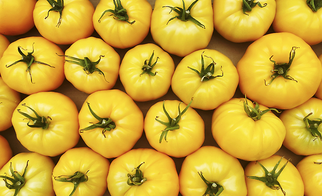 포토 JPG 해외이미지 음식 백그라운드 농업 다이어트 토마토 채소 오렌지 과일 재료 자연 건강 종류 비프스테이크 씨앗 사람없음 목재 빨간색 초록색 여름 상자 컬러풀 농장 노란색 정원 수확 가을 신선 체리 시장 맛 농부 유기농 원예 날것 포도나무 내추럴 밭일 숙성 채식주의자 많음 비건 해외202310 해외포토 나무 식물 직업 웰빙 계절 산업 컬러 컨셉 스테이크 취미 소고기 과일나무 생태계 채식 파일형식