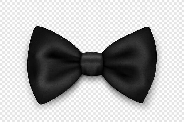 EPS 해외이미지 디자인 옷 리본 컬러 나비 컨셉 일러스트 비즈니스 나비넥타이 넥타이 휴가 정장 장식 세트 유행 3D 검은색 줄무늬 수확 흰색 직물 클래식 고급 우아함 실크 심볼 활 광택 고립 목업 스타일 벡터 현실 해외202310 해외일러스트 잡화 곤충 무늬 농업 디지털합성 파일형식