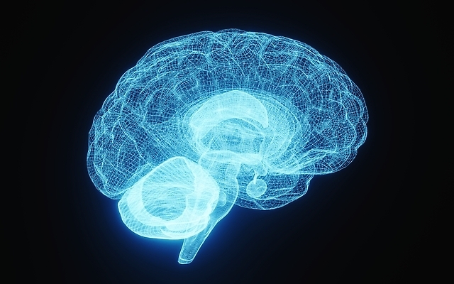 포토 JPG 해외이미지 과학 백그라운드 신체 일러스트 해부 추상 엑스레이 실내 건강 사람 사람없음 내부 파란색 빛 약 머리 3D 검은색 광선 마음 투명 오르간 불안 필름 뇌 생물학 만들기 시스템 고립 방사선 지능 해골모형 홀로그램 와이어프레임 해외202310 해외포토 교육 감정 컬러 무늬 의학 모션 신체부위 모형 건반악기 디지털합성 파일형식