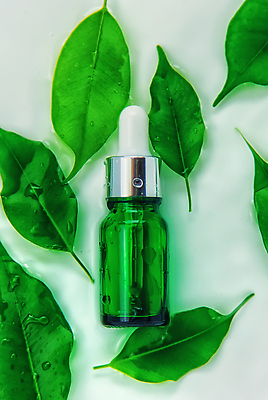 포토 JPG 해외이미지 백그라운드 나뭇잎 사람없음 아웃포커스 초록색 뷰티 신선 오일 내추럴 해외202310 해외포토 음식 컬러 잎 촬영기법 화장품 파일형식