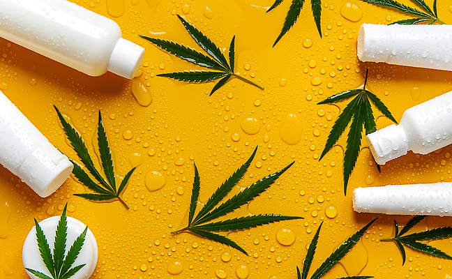 포토 JPG 해외이미지 백그라운드 잎 자연 사람없음 아웃포커스 주황색 화장품 신선 수분 내추럴 해외202310 해외포토 식물 컬러 촬영기법 뷰티 생태계 파일형식