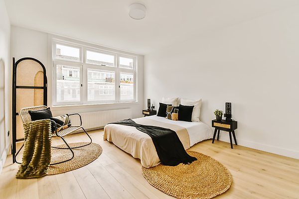 포토 JPG 해외이미지 식물 화분 쿠션 의자 창문 탁자 사람없음 인테리어 카펫 공간 방 침대 담요 파티션 해외202310 해외포토 디자인 가구 파일형식