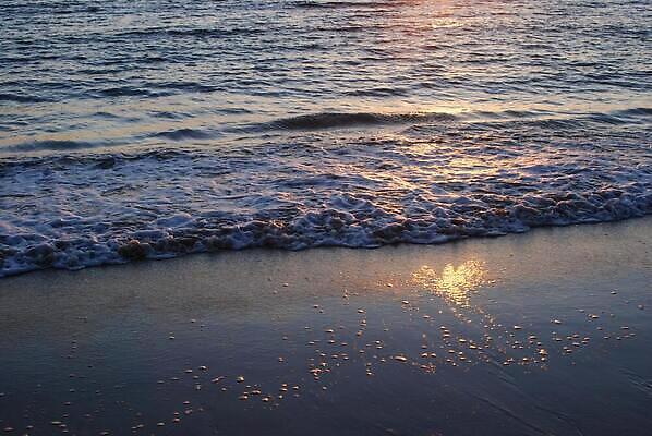 포토 JPG 해외이미지 파도 바다 하늘 사람없음 목재 물 강 햇빛 반사 갈색 황혼 일몰 분위기 유체 해외202310 해외포토 자연요소 나무 컬러 컨셉 재료 태양 노을 파일형식