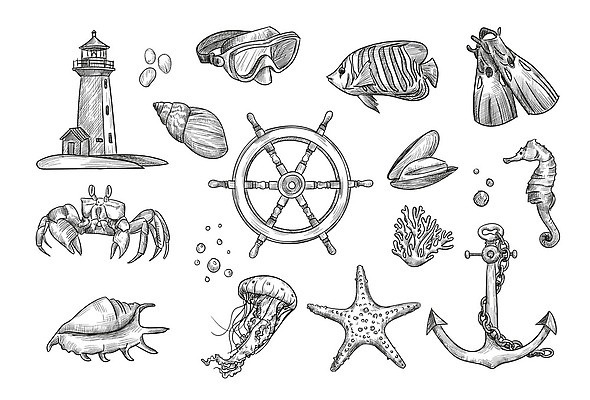 EPS 해외이미지 손 디자인 바다 여행 패턴 일러스트 자연 조개 불가사리 등대 항해 나선형 어류 가면 미술 해변 그래픽 장식 여름 세트 수확 게 껍질 바퀴 산호 크루즈 스케치 수집 심볼 사인 그림 다이빙 복고 윤곽 판화 닻 엘리먼트 스타일 벡터 해외202310 해외일러스트 계절 무늬 농업 배_교통 문화예술 어패류 극피동물 갑각류 신체부위 수영 수중동물 자포동물 생태계 수중스포츠 파일형식