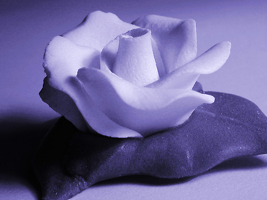 포토 JPG 해외이미지 꽃 음식 결혼 사람없음 장식 장미 케이크 보라색 설탕 굽기 라일락 식용 해외202310 해외포토 식물 컬러 디저트 이벤트 구이 파일형식