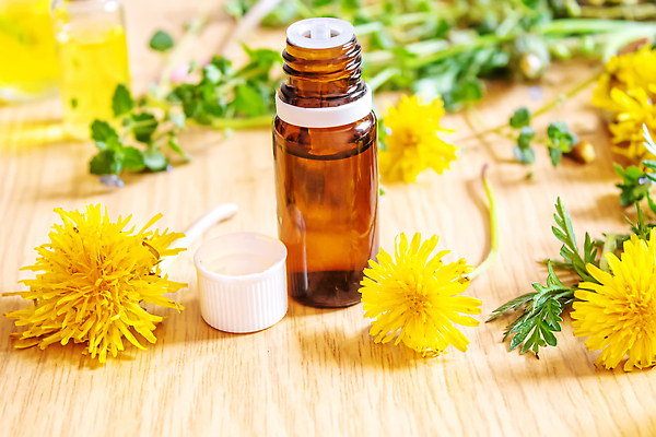 포토 JPG 해외이미지 식물 꽃 줄 음식 잎 꽃무늬 자연 건강 사람없음 초록색 약 보라색 봄 신선 항아리 닫기 민들레 민트 허브 향수 유기농 비타민 생강 해결 금잔화 오레가노 채식주의자 비건 해외202310 해외포토 웰빙 계절 컬러 무늬 채소 의학 모션 화장품 도자기 생태계 채식 영양소 파일형식