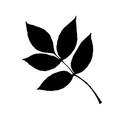 EPS 해외이미지 모양 나무 식물 디자인 배너 실루엣 백그라운드 잎 패턴 일러스트 자연 추상 미술 목재 그래픽 세트 꼬리표 검은색 가을 흰색 깃발 숲 물개 심볼 묘사 사인 그림 클립 심플 윤곽 내추럴 고립 떠남 생태학 엘리먼트 전국 벡터 해외202310 해외일러스트 계절 교육 컬러 무늬 재료 포유류 모션 문화예술 촬영기법 라벨 바다동물 생태계 파일형식