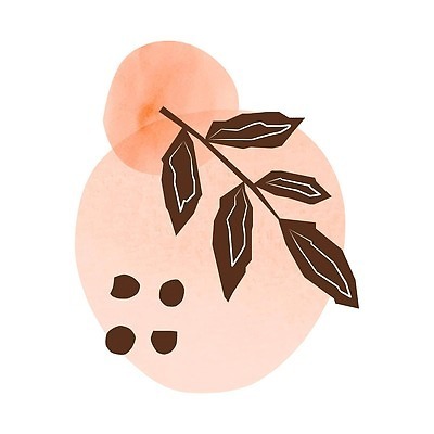 EPS 해외이미지 모양 식물 템플릿 디자인 배너 포스터 벽 분홍색 백그라운드 잎 꽃무늬 일러스트 자연 벽지 추상 미술 동양인 그래픽 뷰티 갈색 유행 일본 중국 수확 덮개 나뭇가지 신용카드 낙서 인쇄 복고 손그림 모음 스칸디나비아 파스텔톤 스타일 벡터 미니멀 해외202310 해외일러스트 나무 꽃 아시아 컬러 무늬 농업 문화예술 인종 금융 뚜껑 생태계 파스텔 파일형식 나라 산업 학용품 사람 경제 문구용품 오브젝트