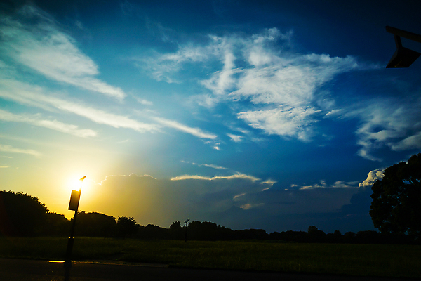 포토 JPG 해외이미지 공원 자연 하늘 사람없음 여름 일본 도쿄 저녁 수분 해외202310 해외포토 계절 공공시설 아시아 야간 생태계 파일형식