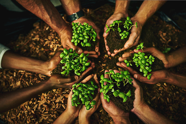 포토 JPG 해외이미지 손 들기 신체부위 하이앵글 새싹 자연보호 희망 흙 성장 손모으기 해외202310 해외포토 식물 감정 뷰포인트 모션 자연 사람 손짓 보호 파일형식