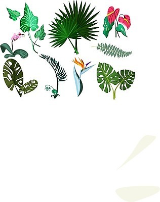 EPS 해외이미지 식물 디자인 꽃 화초 컨셉 꽃무늬 일러스트 자연 주택 실내 손바닥 사람없음 내부 그래픽 초록색 야자수 신선 난초 플랫 심볼 대나무 오브젝트 사인 에코 유기농 생태계 내추럴 고립 바이오 생태학 양치류 엘리먼트 벡터 해외202310 해외일러스트 나무 손 웰빙 교육 컬러 무늬 건물 환경 파일형식