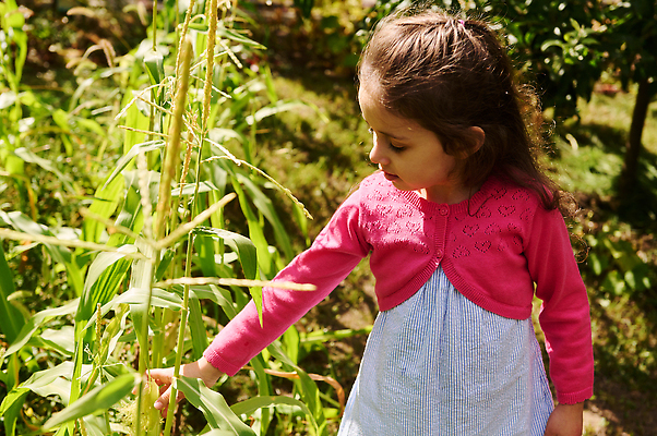 포토 JPG 해외이미지 계절 행복 어린이 밭 농업 자연 옥수수 한명 야외 농작물 마을 정원 봄 수확 성장 시골 농부 과수원 수집 친환경 유기농 원예 8월 걸음마 밭일 원예사 해외202310 해외포토 직업 1 웰빙 감정 산업 모션 곡류 사람 취미 환경 날짜 생태계 파일형식