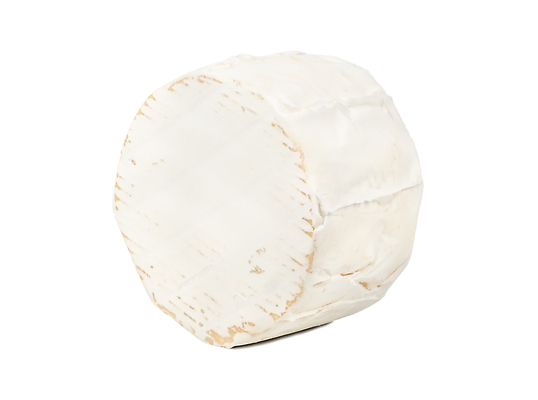 포토 JPG 해외이미지 사람없음 한개 흰배경 브리치즈 해외202310 해외포토 1 백그라운드 치즈 흰색 파일형식