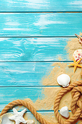 포토 JPG 해외이미지 밧줄 모래 불가사리 사람없음 파란색 조개껍데기 카피스페이스 나무배경 해외202310 해외포토 줄 컬러 백그라운드 조개 극피동물 공백 파일형식