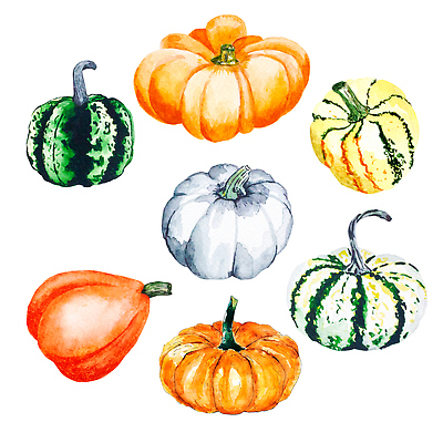 포토 JPG 해외이미지 클립아트 식물 전통 디자인 계절 음식 다이어트 채소 오렌지 일러스트 자연 호박 휴가 수채화 건강 요리 미술 사람없음 장식 빨간색 초록색 세트 노란색 정원 할로윈 수확 가을 흰색 축하 신선 수집 오브젝트 그림 유기농 원예 엽서 박 비타민 10월 내추럴 고립 숙성 채식주의자 비건 해외202310 해외일러스트 웰빙 컬러 컨셉 농업 과일 문화예술 취미 날짜 편지 생태계 채식 영양소 파일형식