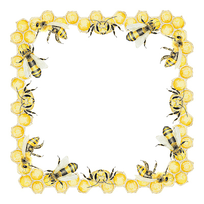 JPG 해외이미지 일러스트 사람없음 달콤 꿀벌 테두리 꿀 벌집 허니콤 해외202310 해외일러스트 모양 맛 벌_곤충 파일형식