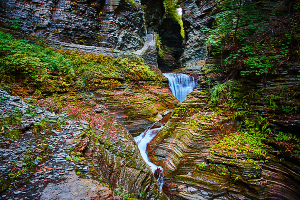 포토 JPG 해외이미지 나무 식물 계절 공원 여행 모션 자연 산 이끼 사람없음 야외 물 강 컬러풀 환경 골짜기 폭포 흐름 개울 숲 뉴욕 내추럴 막 해외202310 해외포토 자연요소 공공시설 컬러 컨셉 미국 생태계 파일형식