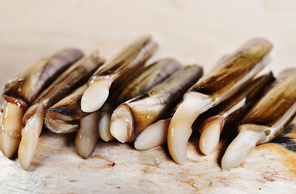 포토 JPG 해외이미지 스튜디오촬영 음식 백그라운드 재료 연체동물 어류 사람없음 앞모습 껍질 해산물 건강식 카피스페이스 해외202310 해외포토 뷰포인트 무척추동물 실내 수중동물 공백 파일형식