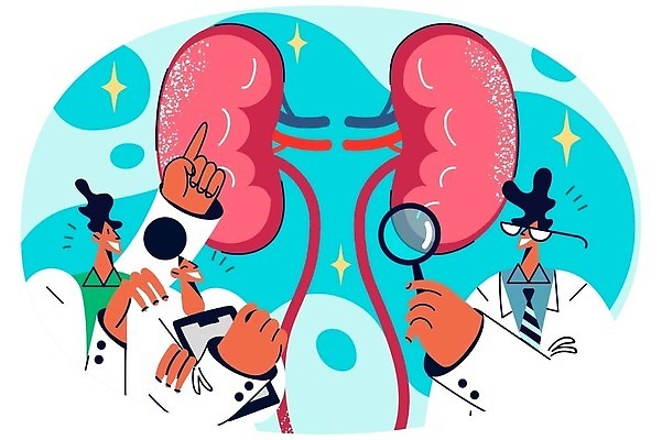 EPS 해외이미지 직업 캐릭터 컨셉 신체 일러스트 해부 함께함 건강 병원 사람 치료 약 환경 진료 고통 환자 의사 그룹 오르간 질병 토론 만화 분석 그림 윤곽 슛 처방 시스템 염증 치료사 벡터 해외202310 해외일러스트 일러캐릭터 감정 의학 의료진 건반악기 파일형식