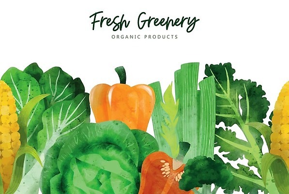 EPS 해외이미지 일러스트 단면 파프리카 옥수수 사람없음 양상추 유기농 손그림 샐러리 비건 해외202310 해외일러스트 웰빙 채소 곡류 채식주의자 파일형식 벡터