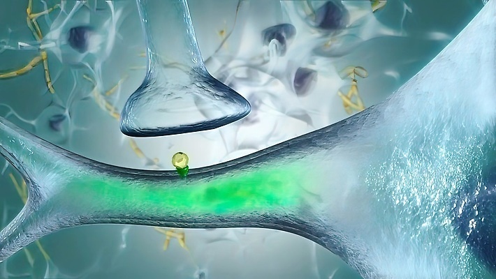 포토 JPG 해외이미지 과학 생각 해부 전등 아이디어 세포 건강 사람없음 신체부위 파란색 약 머리 건강관리 디지털 네트워크 투명 바이러스 DNA 집중 뇌 생물학 원자 복잡 지능 브레인스토밍 정확 해외202310 해외포토 교육 컬러 컨셉 의학 조명 관리 사람 생명공학 파일형식