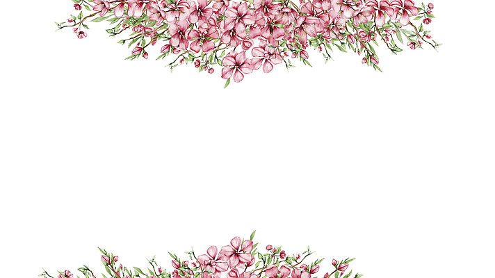 포토 JPG 해외이미지 식물 전통 계절 꽃잎 꽃 아시아 문화 어린이 결혼 꽃무늬 자연 요정 사랑 동양인 사람없음 그래픽 장식 뷰티 정원 일본 중국 봄 낭만 벚꽃 개화 체리 만화 코믹 초대 마법 내추럴 고립 인기 주목 해외202310 해외포토 감정 나라 컨셉 무늬 과일 사람 인종 이벤트 생태계 파일형식