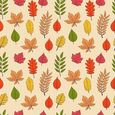 EPS 해외이미지 식물 손 디자인 배너 계절 백그라운드 컨셉 단풍 잎 꽃무늬 패턴 일러스트 학교 자연 벽지 추상 미술 그래픽 장식 빨간색 세트 컬러풀 노란색 파티 봄 가을 황금 플랫 9월 11월 수집 심볼 질감 추수감사절 10월 고립 엘리먼트 벡터 해외202310 해외일러스트 교육 꽃 기독교 컬러 무늬 문화예술 이벤트 신체부위 날짜 생태계 파일형식