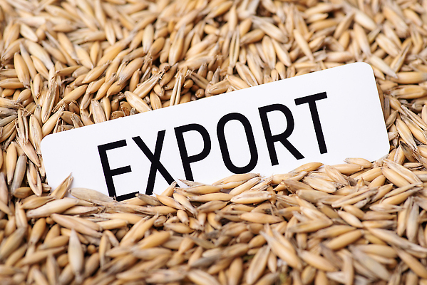 포토 JPG 해외이미지 종이 음식 백그라운드 컨셉 돈 비즈니스 씨앗 사람없음 농작물 농장 갈색 노란색 수확 화물 낟알 가격 시리얼 밀 무역 상업 날것 밭일 수입 귀리 해외202310 해외포토 식물 산업 컬러 농업 곡류 운송업 재산 파일형식