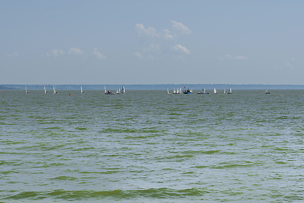 포토 JPG 해외이미지 구름 스포츠 파도 바다 여행 백그라운드 요트 교통시설 자연 벽지 하늘 바람 휴가 휴식 항해 풍경 사람없음 야외 물 여름 파란색 태양 뷰티 맑음 경쟁 자유 흰색 만 보트 승무원 속도 네비게이션 레가타 파라다이스 수평선 해외202310 해외포토 자연요소 직업 계절 컬러 교통 컨셉 배_교통 날씨 시설 생태계 파일형식