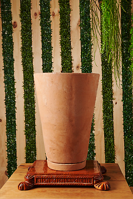 포토 JPG 해외이미지 화분 화초 사람없음 원예 해외202310 해외포토 식물 취미 파일형식