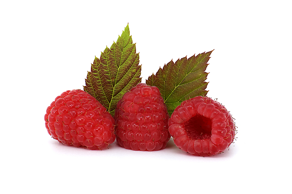 포토 JPG 해외이미지 식물 계절 열매 음식 컬러 백그라운드 잎 다이어트 과일 재료 자연 디저트 건강 사람없음 옆모습 빨간색 초록색 여름 컬러풀 쌓기 정원 수확 흰색 신선 그룹 달콤 맛 유기농 날것 산딸기 비타민 흙더미 내추럴 고립 숙성 채식주의자 맛있는 해외202310 해외포토 웰빙 뷰포인트 컨셉 농업 모션 흙 생태계 채식 영양소 파일형식 더미