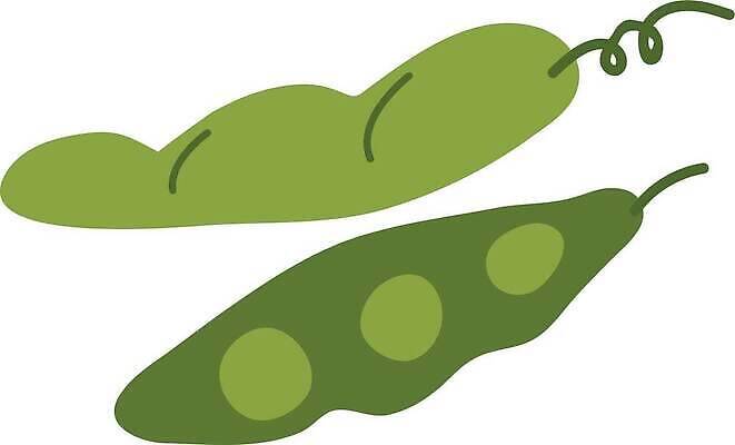 EPS 해외이미지 식물 손 디자인 음식 백그라운드 농업 채소 일러스트 재료 자연 추상 콩 건강 요리 씨앗 그래픽 초록색 농작물 농장 유행 주방 흰색 신선 오픈 플랫 맛 낙서 상품 스케치 먹기 유기농 완두콩 날것 내추럴 고립 꼬투리 엘리먼트 채식주의자 스타일 벡터 비건 맛있는 해외202310 해외일러스트 웰빙 산업 컬러 컨셉 무늬 모션 곡류 미술 신체부위 생태계 채식 파일형식