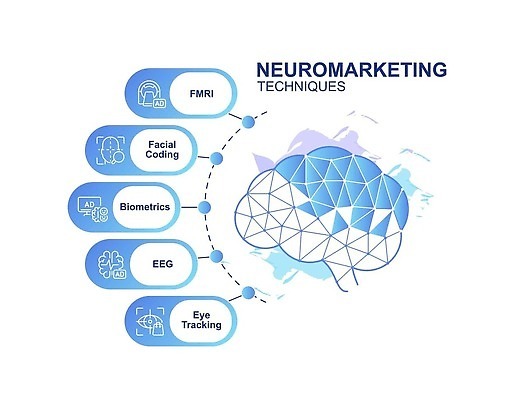 EPS 해외이미지 템플릿 하늘색 일러스트 비즈니스 그래프 사람없음 자료 인포그래픽 정보 뇌 심플 단계 타임라인 미니멀 해외202310 해외일러스트 파란색 파일형식 벡터