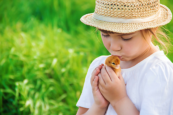 포토 JPG 해외이미지 한마리 여자 어린이 병아리 한명 들기 상반신 야외 옆모습 밀짚모자 소녀한명만 해외202310 해외포토 모자_잡화 1 뷰포인트 모션 조류 사람 여자한명만 소녀만 파일형식