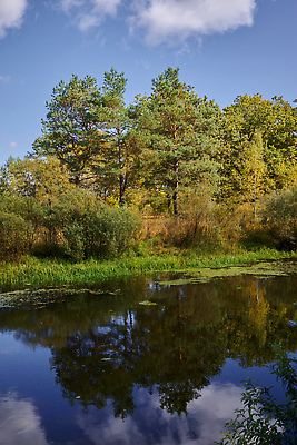 포토 JPG 해외이미지 물결 표면 아침 휴가 잔디 사람없음 가로 빛 컬러풀 햇빛 태양 반사 평화 귀여움 일출 침묵 고요 황혼 새벽 활발 거울 젖음 자유 성장 떨어짐 큼 땅 만족 조경 장면 수평선 목가 해외202310 해외포토 주간 자연요소 식물 감정 컬러 컨셉 노을 소리 일몰 크기 파일형식