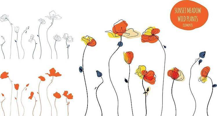 EPS 해외이미지 식물 디자인 계절 꽃 선 꽃다발 꽃무늬 오렌지 일러스트 자연 추상 장식 빛 노란색 유행 라벨 정원 낭만 들꽃 벚꽃 직물 개화 인쇄 스케치 허브 흰배경 그림 아로마 양귀비 내추럴 스타일 해외202310 해외일러스트 컬러 백그라운드 컨셉 무늬 과일 프레임 미술 흰색 생태계 파일형식 벡터