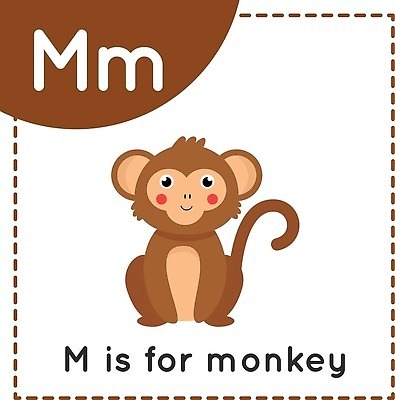 EPS 해외이미지 동물 디자인 알파벳 영어 교육 어린이 백그라운드 일러스트 학교 대문자 그래픽 단어 세트 독서 갈색 소리 원숭이 아기 신용카드 만화 편지 수집 그림 M 고립 처음 벡터 해외202310 해외일러스트 문자 컬러 포유류 사람 금융 파일형식