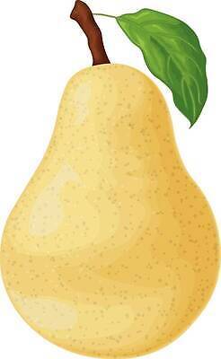 EPS 해외이미지 식물 디자인 음식 백그라운드 스티커 잎 다이어트 과일 일러스트 자연 추상 디저트 건강 씨앗 그래픽 초록색 여름 노란색 라벨 흰색 신선 달콤 맛 자르기 먹기 오브젝트 사인 메뉴 그림 유기농 날것 비타민 내추럴 고립 숙성 채식주의자 벡터 비건 맛있는 해외202310 해외일러스트 웰빙 계절 컬러 컨셉 무늬 모션 프레임 생태계 채식 영양소 파일형식